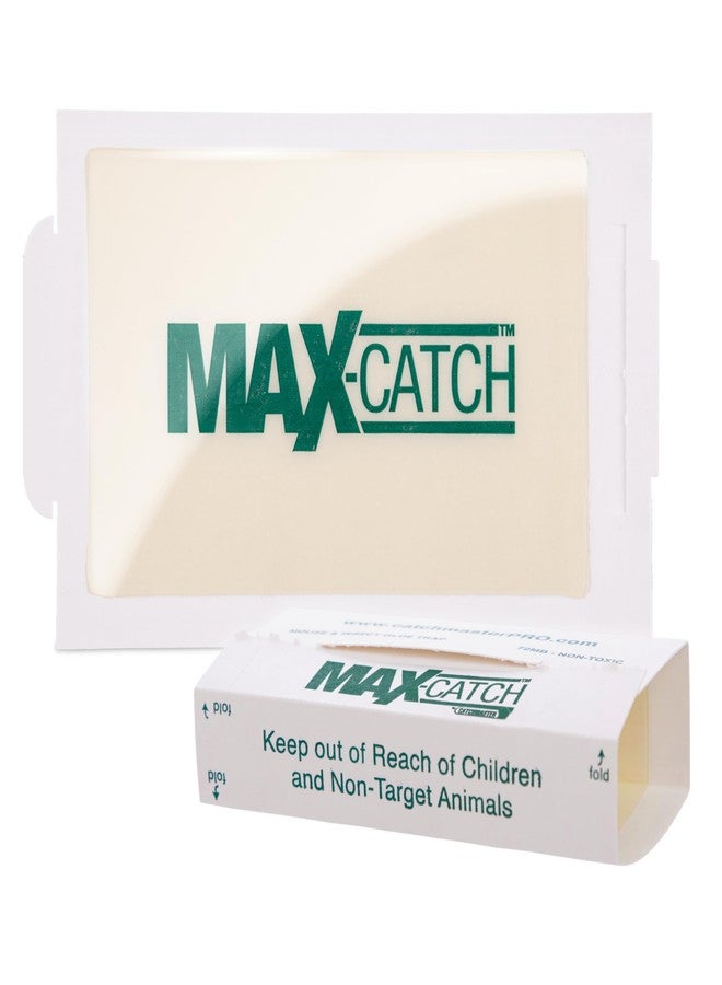 Catchmaster Max-Catch Mouse & Insect Glue Trap 36Pk, Mouse Traps Indoor for Home, Sticky Pest Control Adhesive Tray for Catching Bugs, Rats & Rodents, Non Toxic Bulk Pre-Baited Glue Boards - Image 1