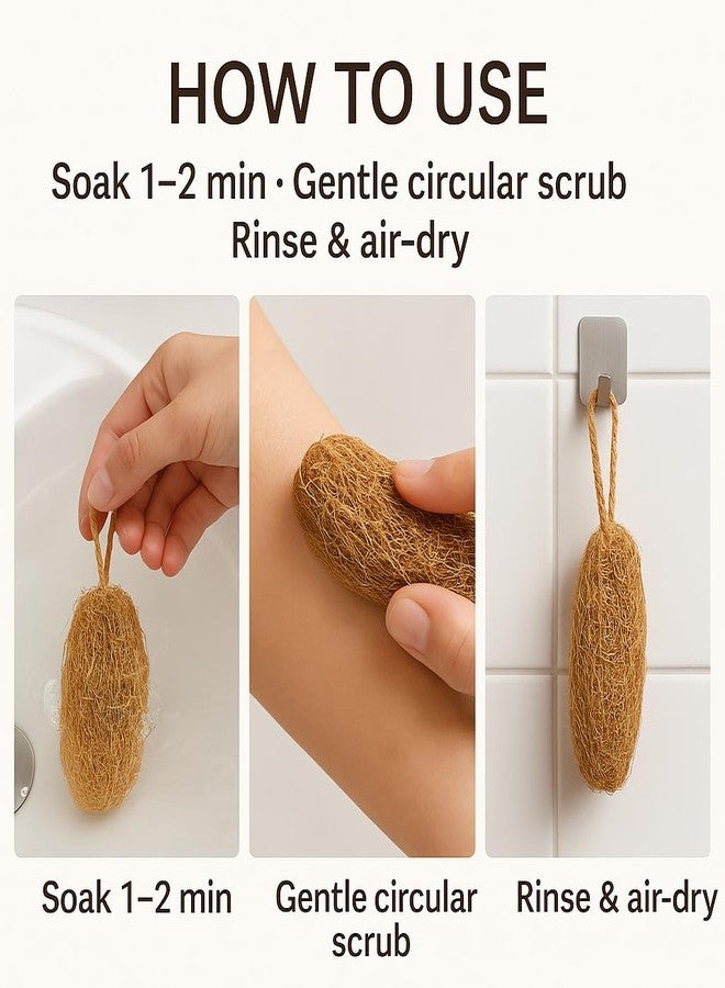 Tattvalogy Vetiver Bath Scrub | 100% Natural Loofah | Vetiver Roots | Biodegradable Exfoliating Body Scrubber | Reduces Body Odor Feel | Eco-Friendly Daily Shower Scrub, Set of 3 - Image 4