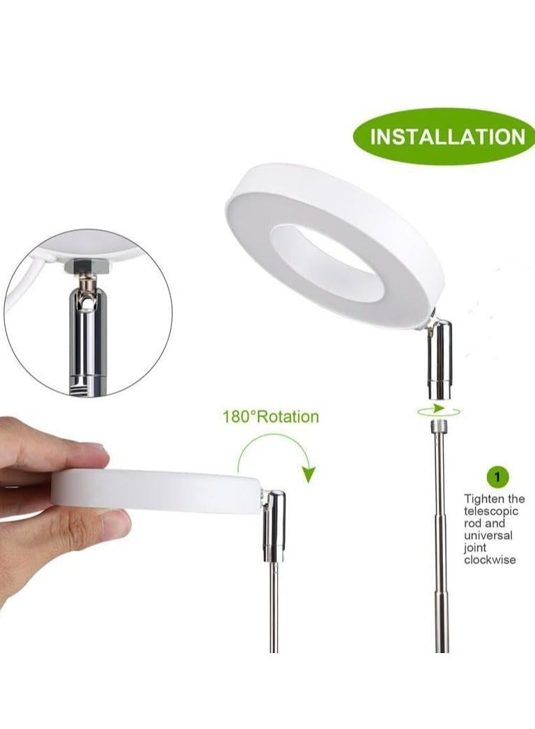TRASSLE 2 Pack,Grow Light, Full Spectrum LED Plant Light for Indoor Plants, Height Adjustable Growing Lamp with Auto On/Off Timer 4/8/12H, 4 Dimmable Brightness, Ideal for Small Plants  - Image 3