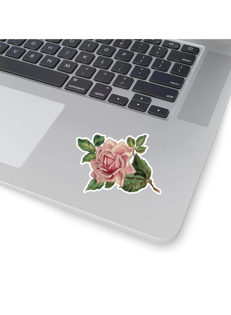 قوس قزح أورينبو 100 قطعة ملصقات جمالية عتيقة من الفينيل، دفتر قصاصات، زجاجات ماء، ملصقات مقاومة للماء، ملصقات Retro، قشور، هدايا للكبار، ديكور للحرف اليدوية، إمدادات لحفلات ذات طابع نوستالجي - Image 3