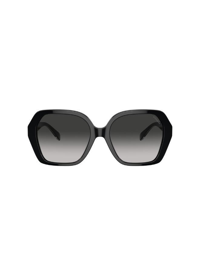 COACH Hc8404U Irregular Sunglasses  - Image 1