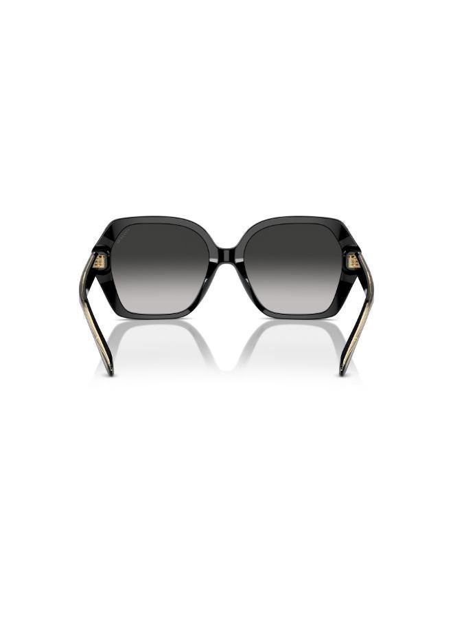 COACH Hc8404U Irregular Sunglasses  - Image 2