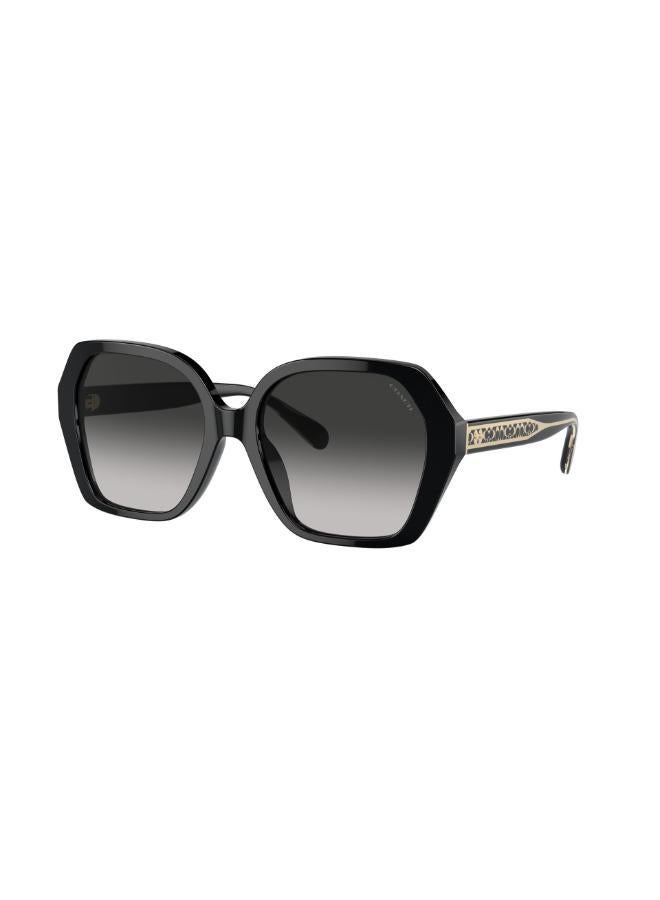 COACH Hc8404U Irregular Sunglasses  - Image 3