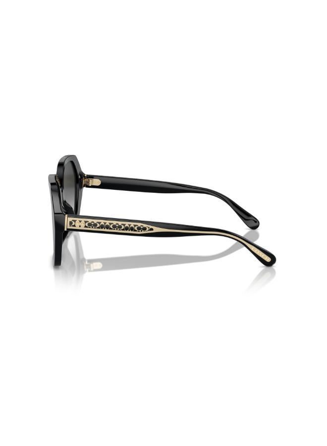 COACH Hc8404U Irregular Sunglasses  - Image 4