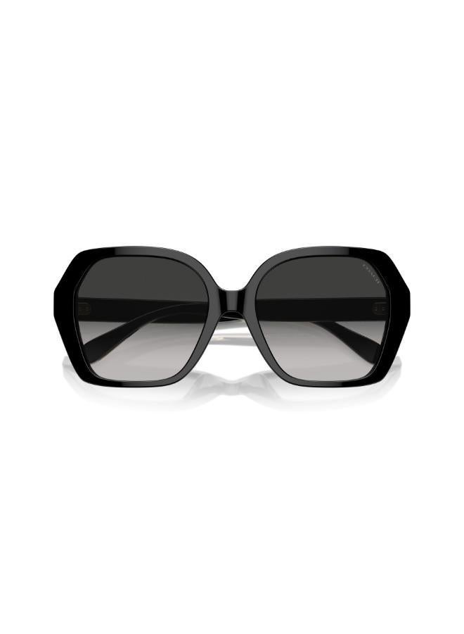COACH Hc8404U Irregular Sunglasses  - Image 5