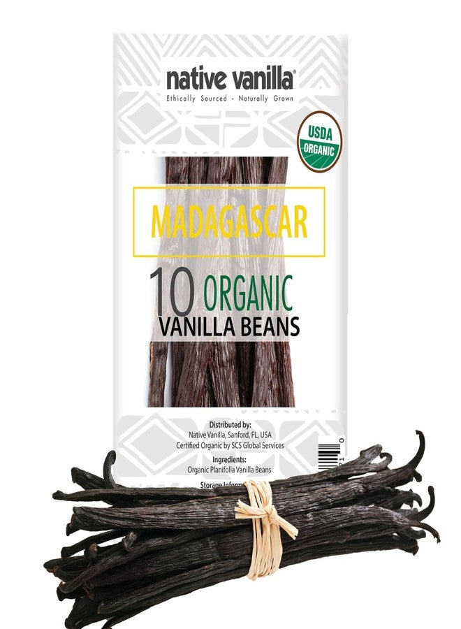 Native Vanilla 10 Organic Madagascar Vanilla Beans - Gourmet Grade A Premium Vanilla Pods - For Vanilla Extract & Baking - For Cooking, Desserts & More - 100% Vegan & Kosher - Non-GMO & Gluten-Free - Native Vanilla - Image 1