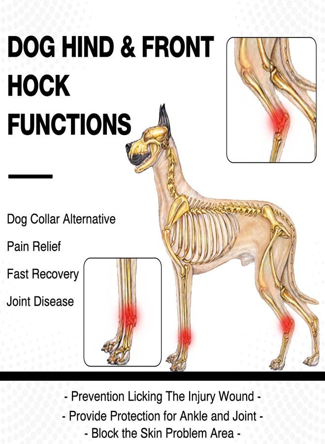 ROZKITCH Dog Leg Protector for Rear Hock Joint or Front Leg Knee, 1 Pair of Dog Leg Compression Wrap Sleeve for Anti Licking Carpal Support Ankle Support Protect Injury Sprain Torn ACL CCL Black M - Image 3