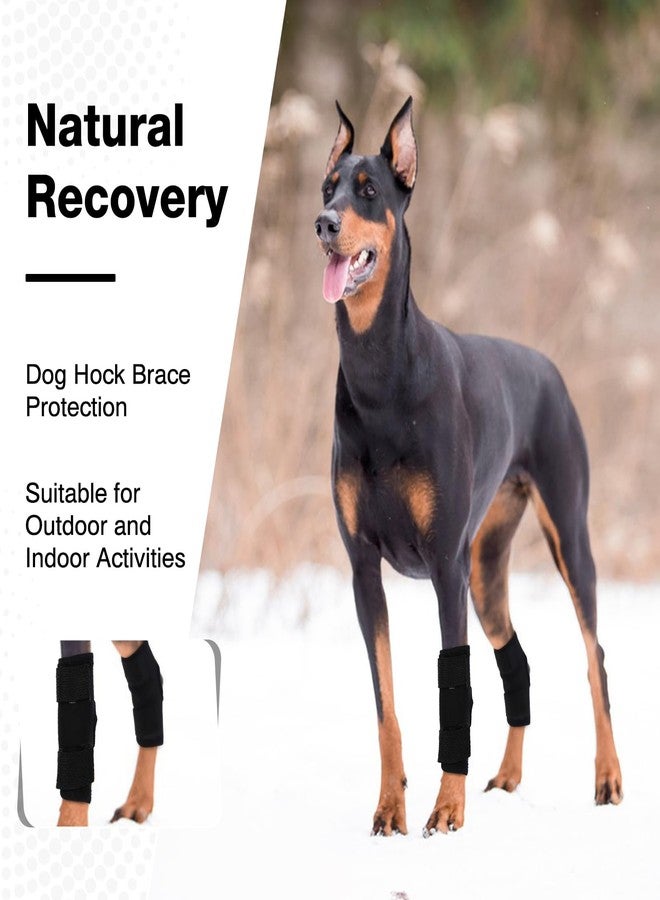 ROZKITCH Dog Leg Protector for Rear Hock Joint or Front Leg Knee, 1 Pair of Dog Leg Compression Wrap Sleeve for Anti Licking Carpal Support Ankle Support Protect Injury Sprain Torn ACL CCL Black M - Image 5
