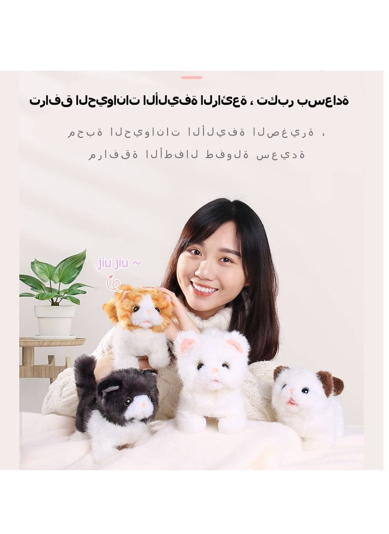 Y&D - Robot Electronic Cat Plush Stuffed Animal Interactive Meow Kitten Touch Control, Pet, Robotic Kitty Toy, Animated Toy Cats for Girls Baby Kids (Exotic Shorthair cat) - Image 1
