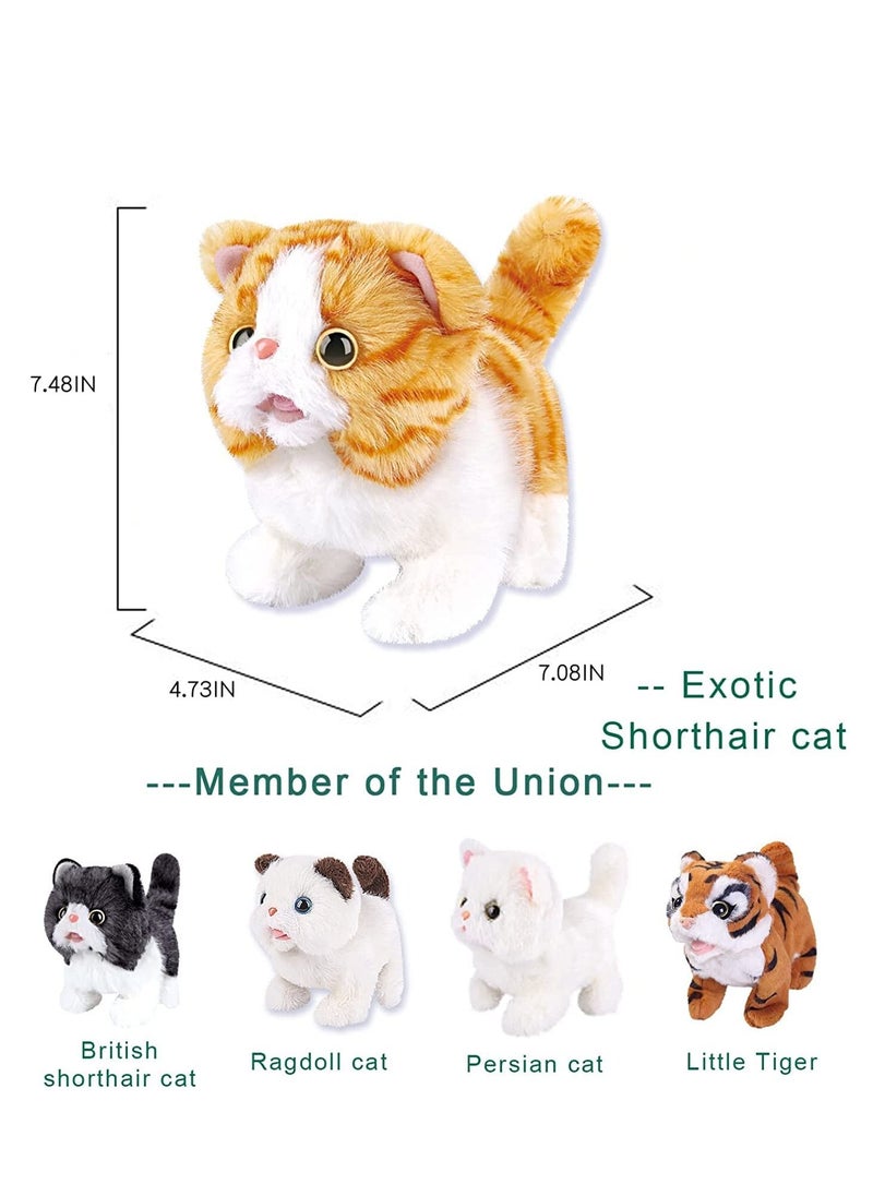 Y&D - Robot Electronic Cat Plush Stuffed Animal Interactive Meow Kitten Touch Control, Pet, Robotic Kitty Toy, Animated Toy Cats for Girls Baby Kids (Exotic Shorthair cat) - Image 1