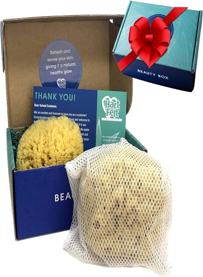 HartFelt Exfoliating Grass Sea Sponge Beauty Box | 2 Bath Sponges for Shower Women & Men 4in | Natural Sponge with Mesh Bag for Cleaning & Drying | Cleanses Skin from Dirt & Excess Oil - Gift Box - Image 1