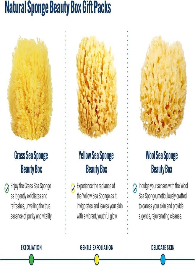 HartFelt Exfoliating Grass Sea Sponge Beauty Box | 2 Bath Sponges for Shower Women & Men 4in | Natural Sponge with Mesh Bag for Cleaning & Drying | Cleanses Skin from Dirt & Excess Oil - Gift Box - Image 5