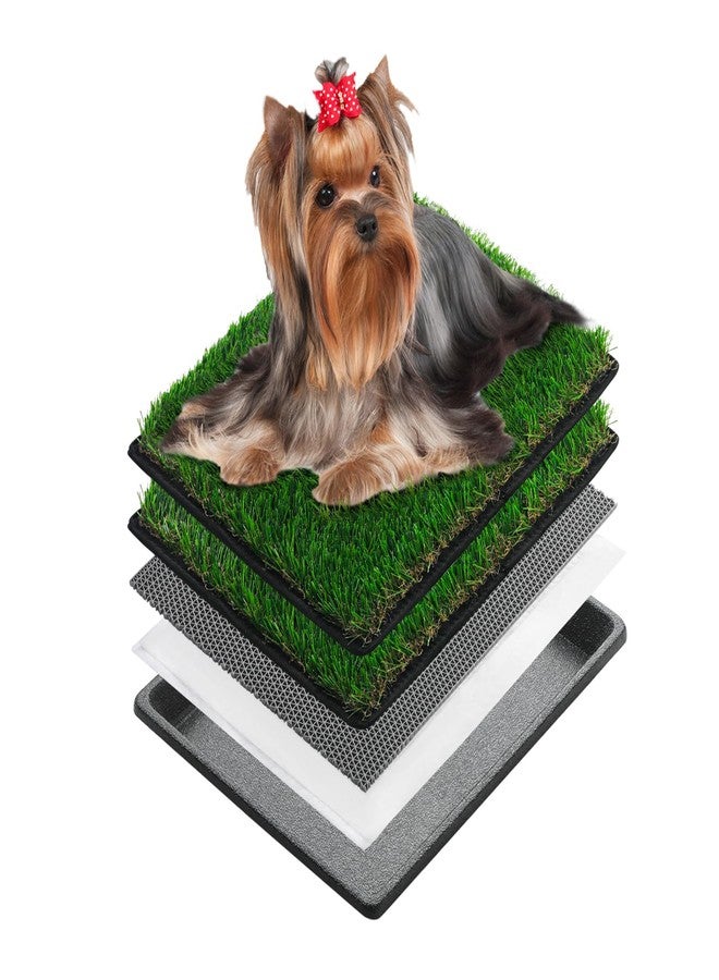 MEEXPAWS Dog Grass Pee Pads for Dogs with Tray | Extra Small 17 x 13 in for Puppy Less Than 6 lbs | 2× Artificial Grass Pads Replacement | Rapid Drainage | Indoor Dog Litter Box | Hemmed Edge - Image 1