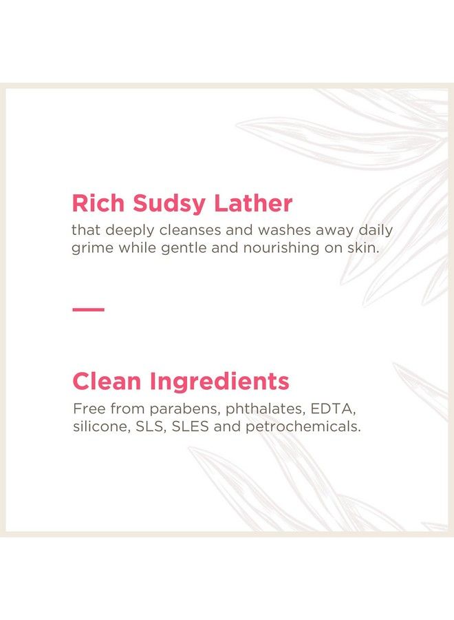 Soapbox Foaming Hand Soap Watermelon & Basil 11Oz Pump Bottles 3 Ct Gently Scented Moisturizing Foaming Hand Wash For Kitchen And Bathroom Vegan Cruelty & Paraben Free - Image 5