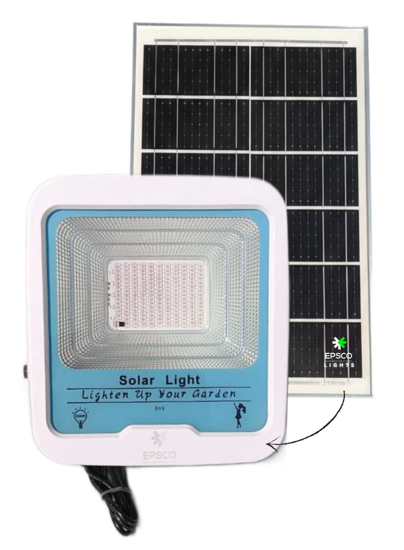 EPSCO 100 watt solar floodlight - Image 1