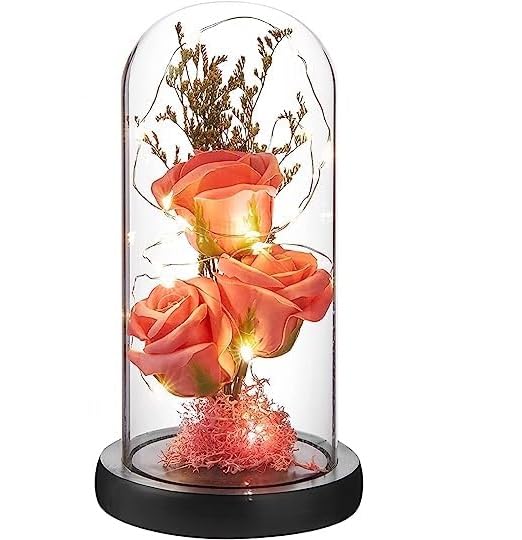 S SMITEX Smitex Preserved Rose Flower Gift Light Up Rose in Glass Dome Eternal Forever Rose Flower Grandma Mothers Day Valentines Day Anniversary Birthday Christmas Decorations - Image 1