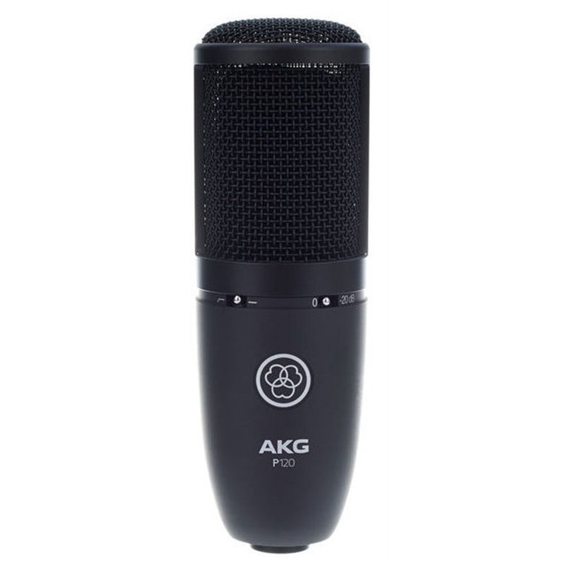 AKG Perception P120 Professional Studio Microphone, Sliver - Image 2