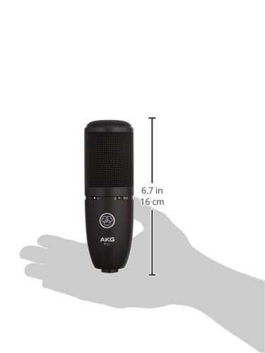 AKG Perception P120 Professional Studio Microphone, Sliver - Image 3