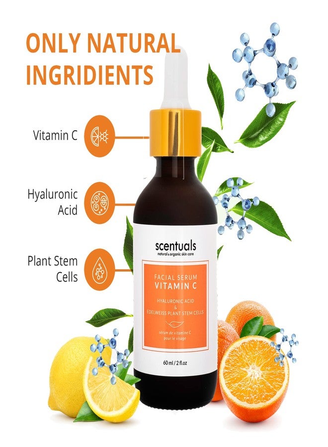 Scentuals Vitamin C Serum for Face, Brightening Serum, Reduce Look of Fine Lines & Wrinkles, Water-Based 2 fl.oz|60 ml - Image 2