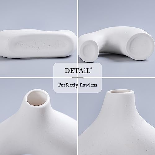 CEMABT White Ceramic Vase Set of 2 for Modern Minimalist Bohemian Decor，Round Matte Donut Vases for Pampas Grass-Perfect for Living Room, Dining Table, Office Bedroom Shelf Decor Entryway, Console - Image 3