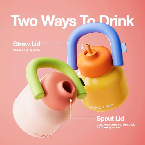 CHAKO LAB Water Bottle with Straw and Carry Handle | Wide Mouth vacuum insulated stainless steel Bottles | Reusable, leak-proof and BPA-free | 33oz (Pink&Green) - Image 4