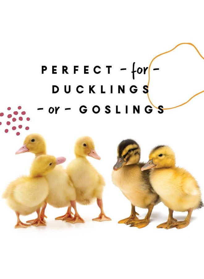 Manna Pro Duck Starter Grower Crumble|NonMedicated & Supports Healthy Digestion| 8 Pounds - Image 2