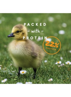 Duck Starter Grower Crumble|NonMedicated & Supports Healthy Digestion| 8 Pounds - pzsku/ZFE8F2AFBA81EAE9259CBZ/45/_/1726221373/7024e388-5fb0-4ff1-98bd-d5ad1569639f