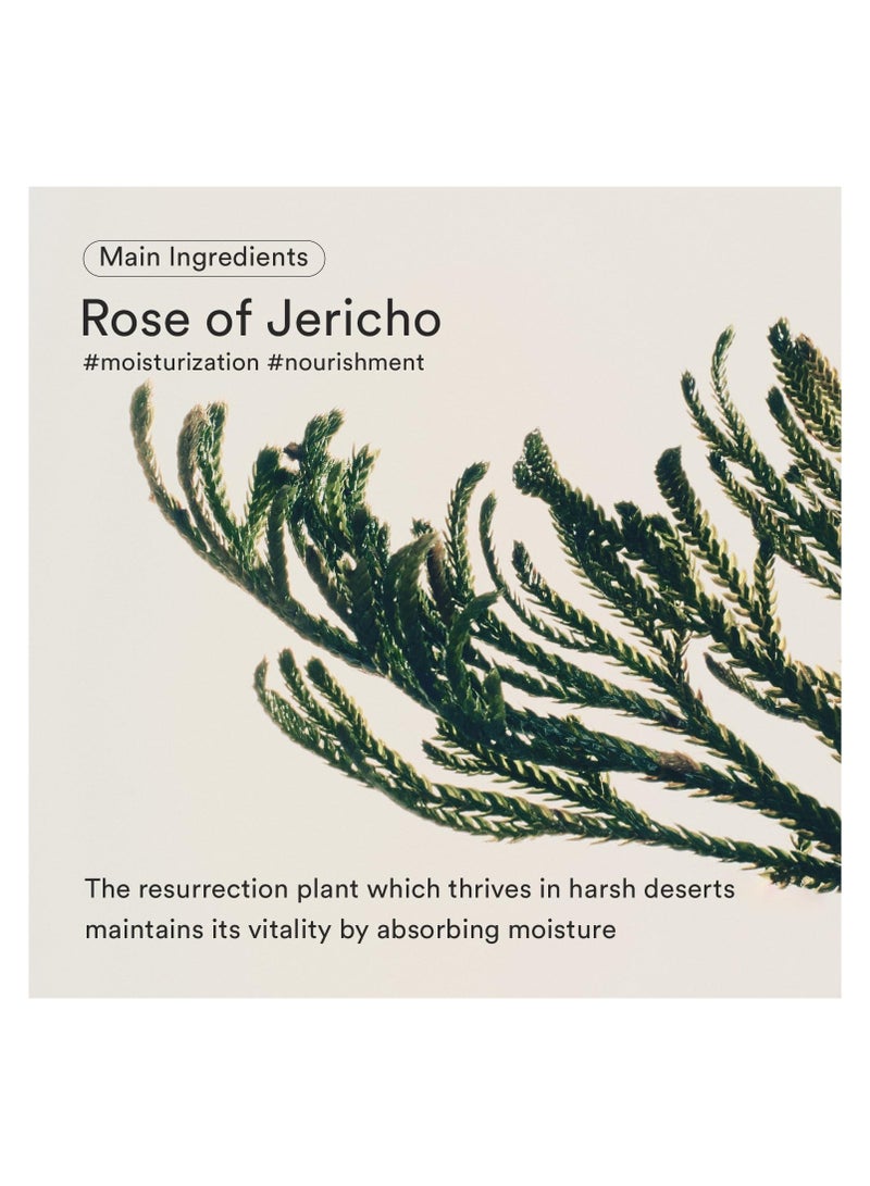 ابيب قطرة مصل شد البشرة من جيريكو روز بيفيدا، ينعم البشرة بشكل واضح، ويوحد لونها - Image 3