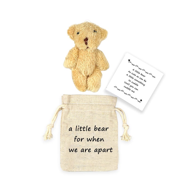 LUOKIFUR Pocket Bear Gift Long Distance Teddy Bear I Love YouCouple MemorialMissing You Gift we are Apart - Image 2