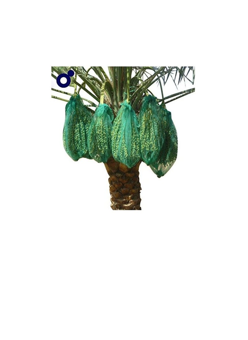 MONO Mono Date Palm Bag (70cm x 50cm)  - Image 3