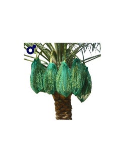 MONO Mono Date Palm Bag (70cm x 50cm)  - Image 1