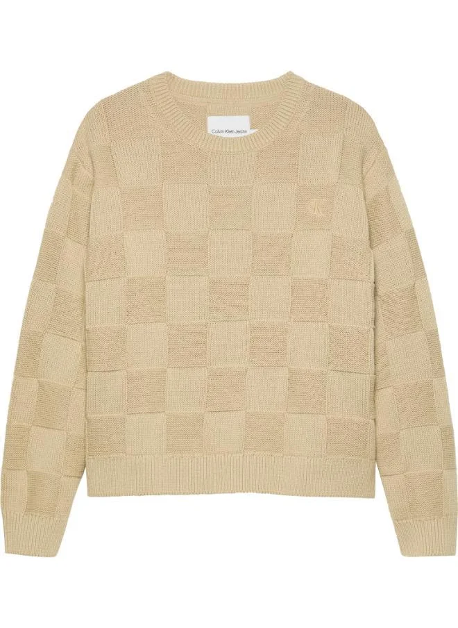 كالفن كلاين جينز Youth Checks Sweater