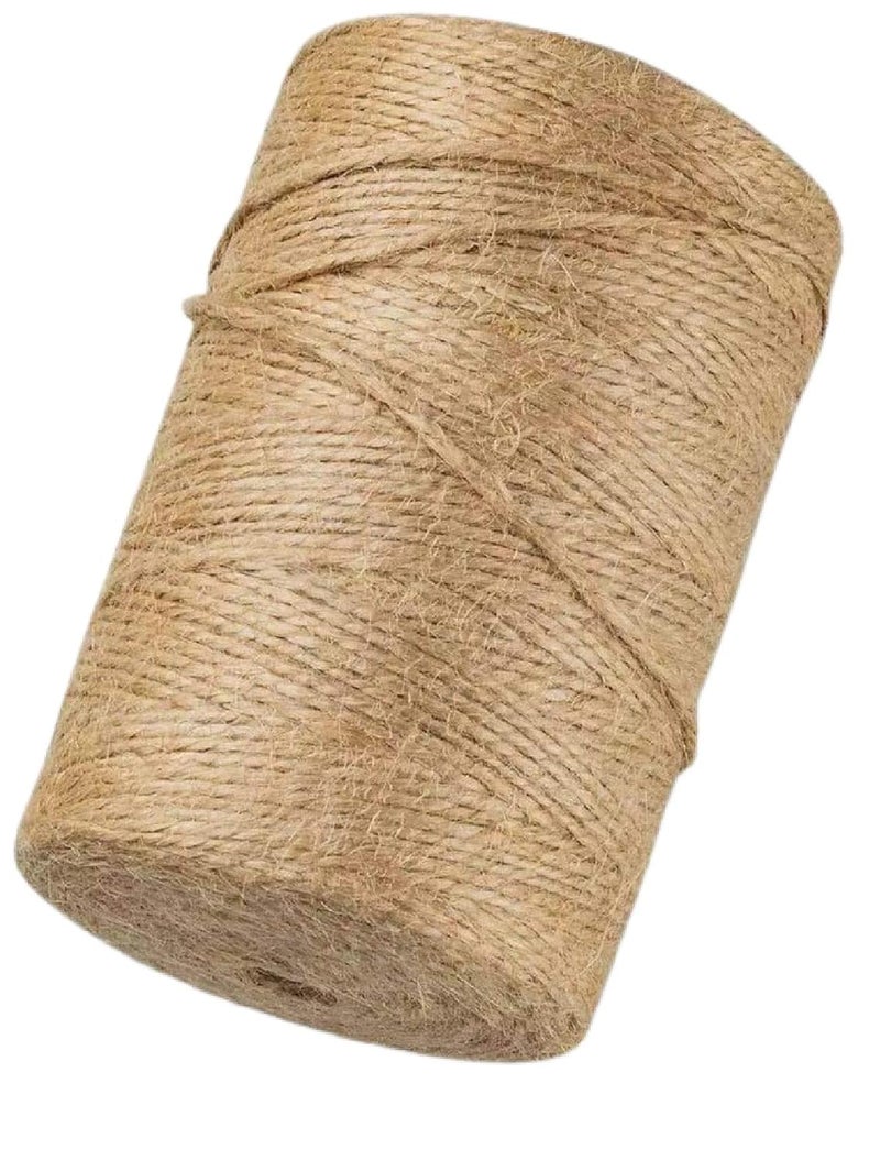 ASUNFISH Colored Strong Twisted Jute Twine Rope Linen Twine Rustic String Cord DIY Burlap String Rope Party Gift Wrapping Cords Thread and Other Projects Brown 2mm 100 100 Meters - Image 1