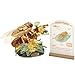 MEIEST Insect Flower Building Blocks SetColorful Construction Building Bricks Toy with a Science Popularization CardCreative Home Decoration Golden Cicada - Image 2