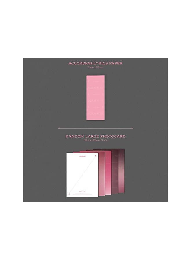 The Bros [BORN PINK] (PINK Ver.) CD + Photobook + Envelope + Lyrics Paper + Large Photocard + Postcard + Instant Films + Selfie Photocard + 2 Pin Badges + 4 Extra Photocards - Image 5