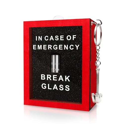 WenmthG Emergency 10mm Socket - Funny Gag Gift for Men - Break In Case of Emergency - Desk & Workshop Decor, Gift For Garage Wall - Image 1