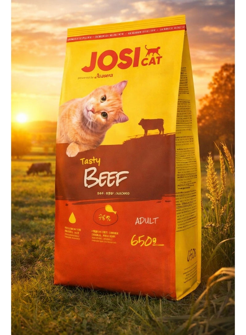 CAT Tasty Beef Adult Cat Food – Beef-Rich Complete Nutrition for Adult Cats – Highly Palatable Formula – 650 g