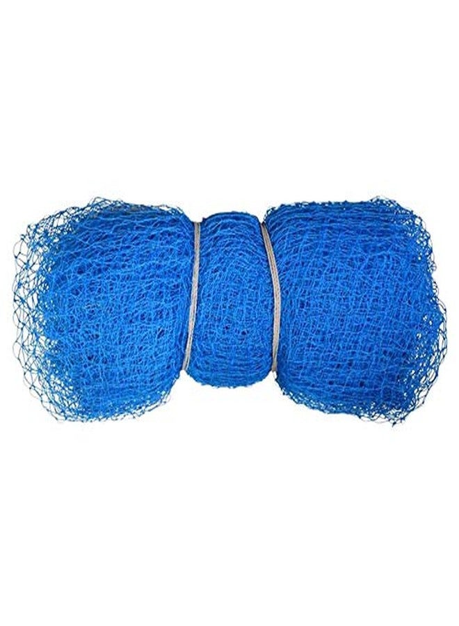 ProZone Sporting 10X10 Nylon Blue Cricket Net for Practice and Fun - Image 1