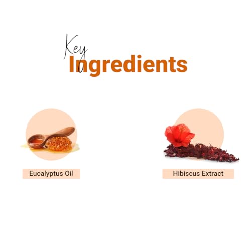 Vedic Line Vedicline Silky Smooth Conditioner Improve Elasticity & Hair texture With Honey, Hibiscus Extract Gives Detangled & frizz-free Hair - 200ml - Image 3