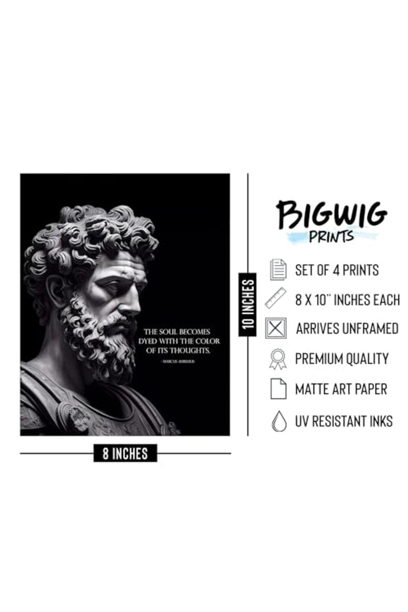 BigWig Prints ALAYRA Marcus Aurelius Poster - Marcus Aurelius Quotes, Stoic Wall Art, Stoicism Gifts, Philosophy Poster, Stoic Art, Stoicism Wall Decor, Philosophy Quotes - Unframed Set of 4 (8x10) - Image 2
