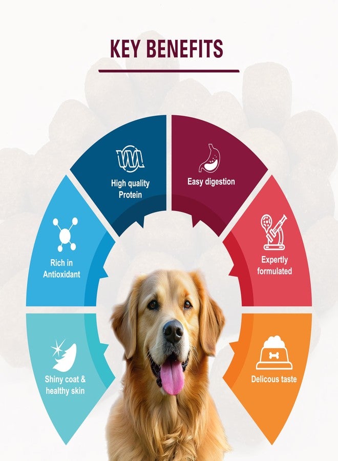 VIBRANT DOG ® - Adult 4KG (Chicken | Rice | Pumpkin) |Dog Dry Food |PET Food - Image 4