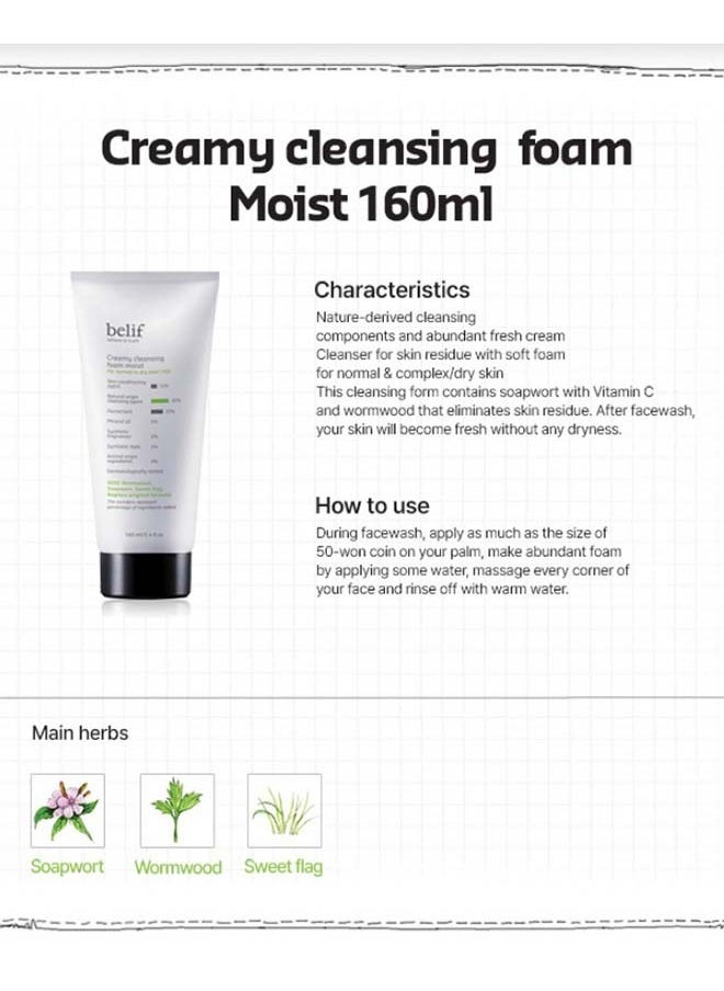 belif - Creamy Cleansing Foam Moist 160ml - Image 1