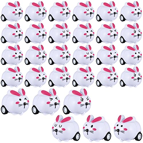 Haull 48 Pcs Easter Egg Basket Fillers Bulk Easter Cars Pull Back Bunny Rabbit Cars for Basket Stuffers Gifts 6 Styles - Image 1