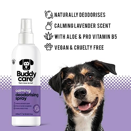 Buddycare Dog Deodorising Spray - Deodorising Spray for Dogs - With Aloe Vera and Pro Vitamin B5 (Lavender, 200ml) - Image 2