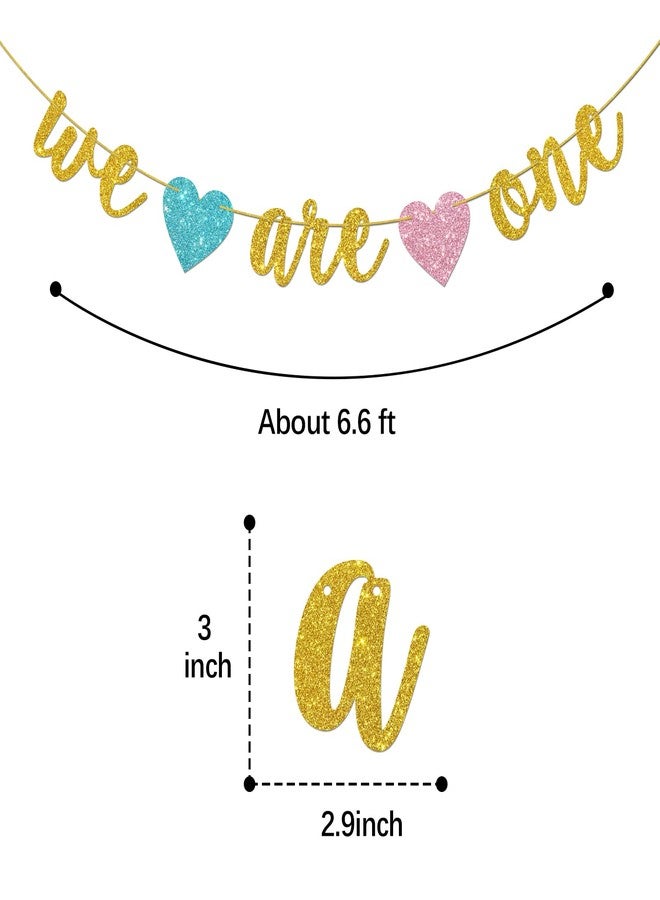 Helewilk Gold Glitter We are One Banner, Twins 1st Birthday/Baby Shower/Gender Reveal Party Decoration, It's Twins Twin Boys Girls One Year Birthday Party Supplies - Image 2