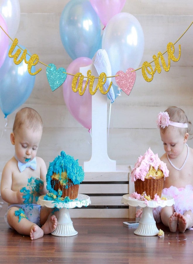Helewilk Gold Glitter We are One Banner, Twins 1st Birthday/Baby Shower/Gender Reveal Party Decoration, It's Twins Twin Boys Girls One Year Birthday Party Supplies - Image 5