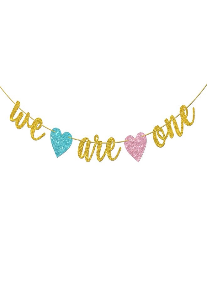Helewilk Gold Glitter We are One Banner, Twins 1st Birthday/Baby Shower/Gender Reveal Party Decoration, It's Twins Twin Boys Girls One Year Birthday Party Supplies - Image 1