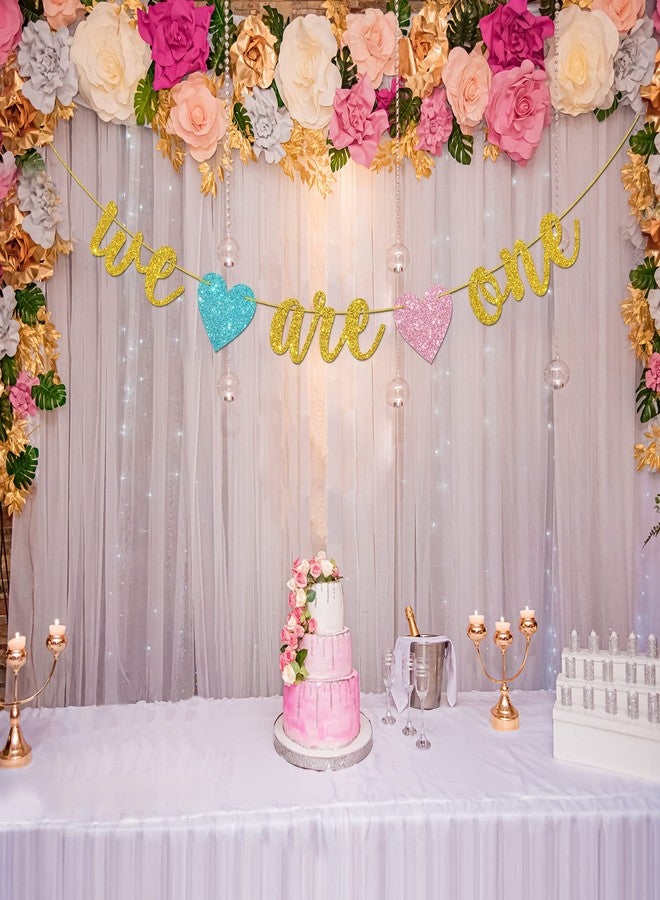 Helewilk Gold Glitter We are One Banner, Twins 1st Birthday/Baby Shower/Gender Reveal Party Decoration, It's Twins Twin Boys Girls One Year Birthday Party Supplies - Image 4
