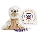 Warmies Microwavable  Weighted Stuffed Animals Seal  Heated Stuffed Animal Plushie for Warmth  Comfort  Cute Soft Plush Toys for Adults  Children Boys Girls Babies  Toddlers - Image 4