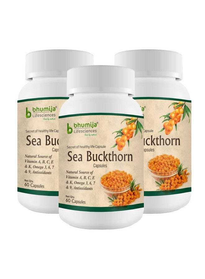 Sea Buckthorn Berry 500 Mg Extract Antioxidant Supplement & Immunity Booster (60 Capsules, 500Mg, Pack Of 3) Natural Source Of Vitamin A, B, C, E, K, Omega 3, 6, 7, 9